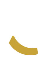 Logo Drop